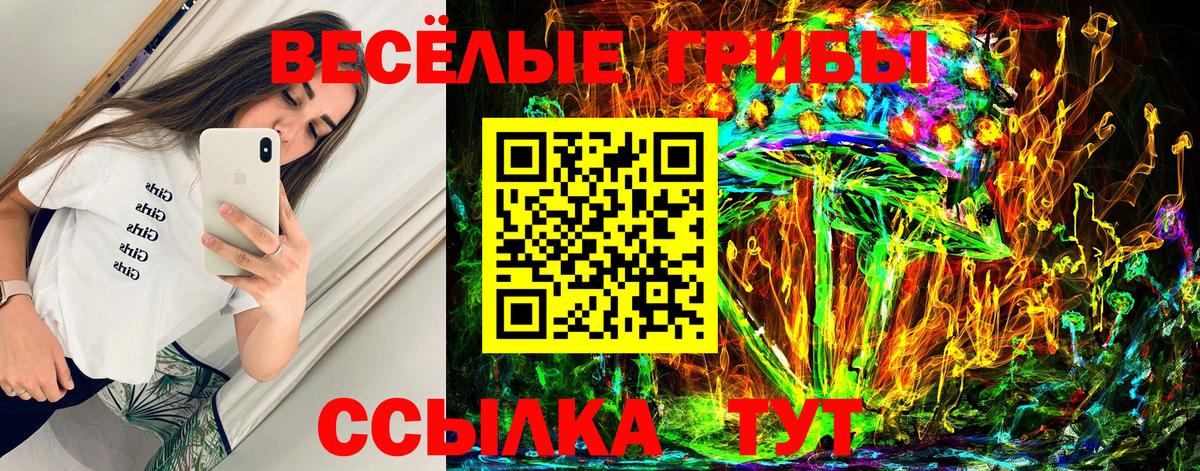 Псилоцибиновые грибы ЛСД Кириши