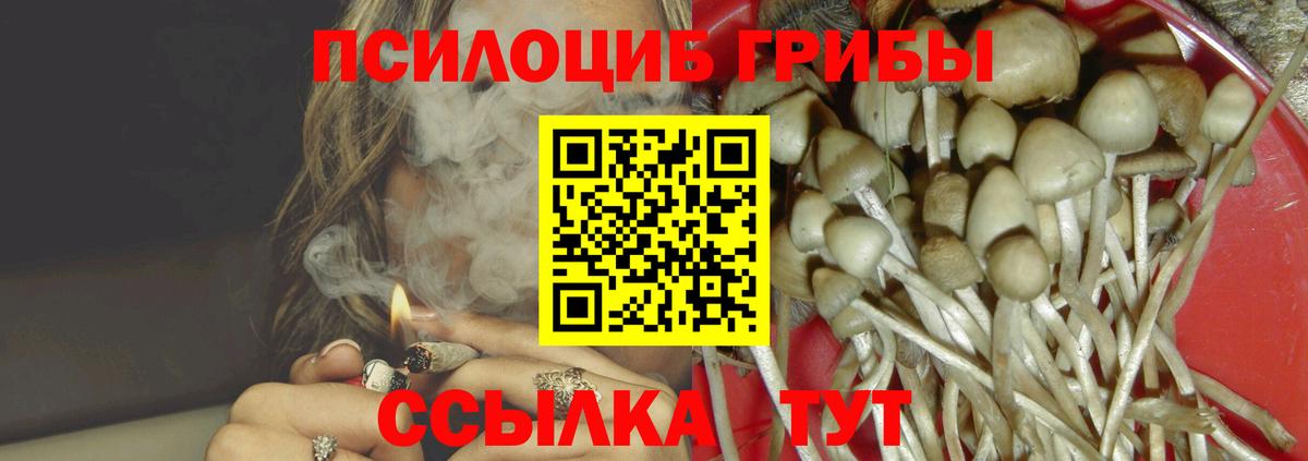 Псилоцибиновые грибы MAGIC MUSHROOMS  Вход с VPN  Кириши  Галлюциногенные грибы Psilocybe 